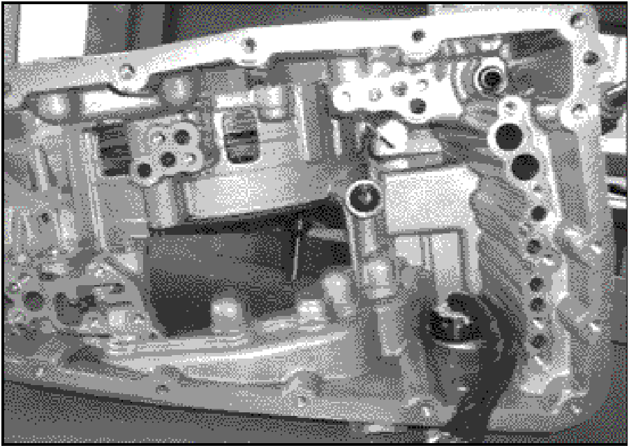 520065657_graphic-text232